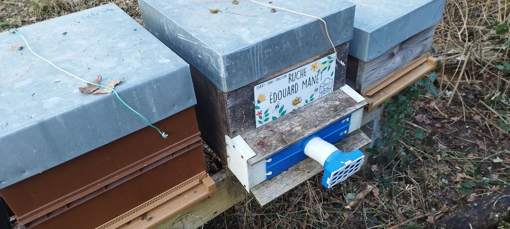 La ruche Édouard Manet