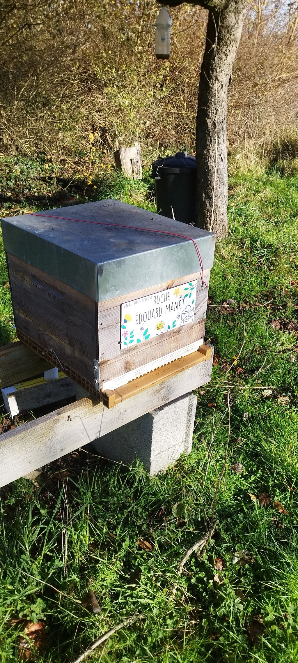 La ruche Édouard Manet