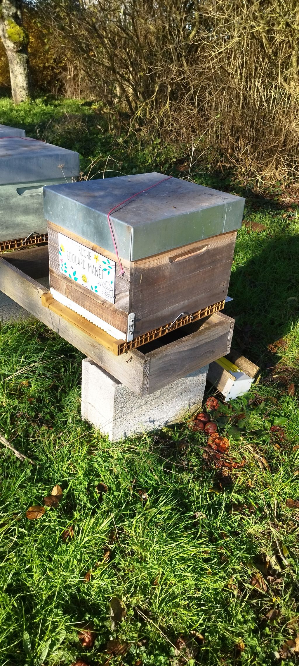 La ruche Édouard Manet