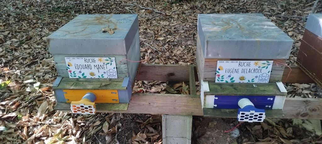 La ruche Édouard Manet