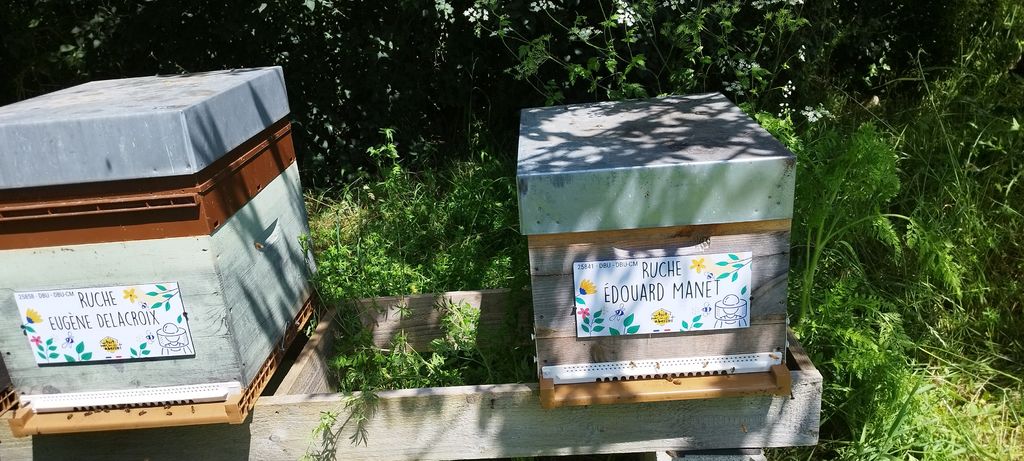 La ruche Édouard Manet