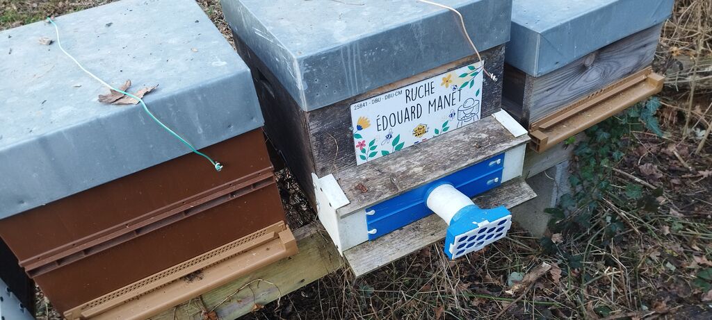 La ruche Édouard Manet