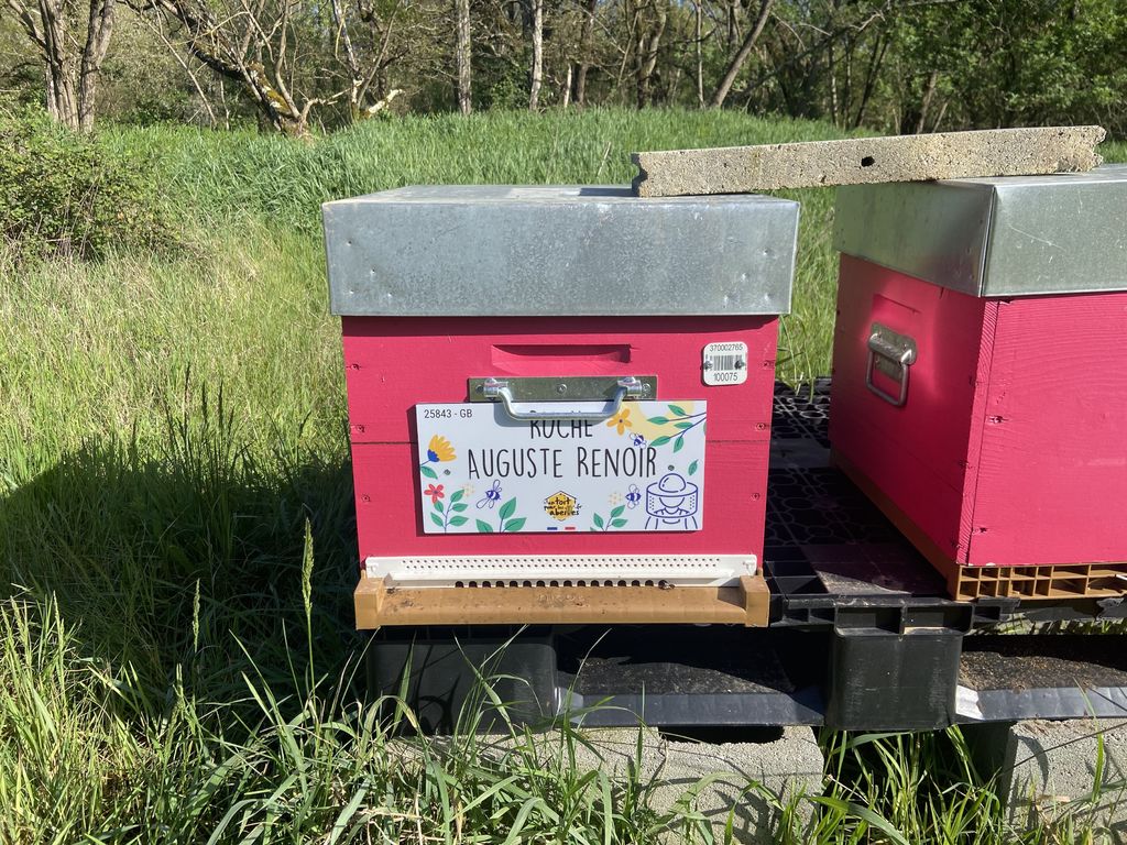 La ruche Auguste Renoir