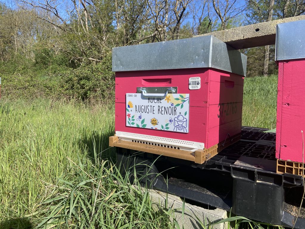 La ruche Auguste Renoir