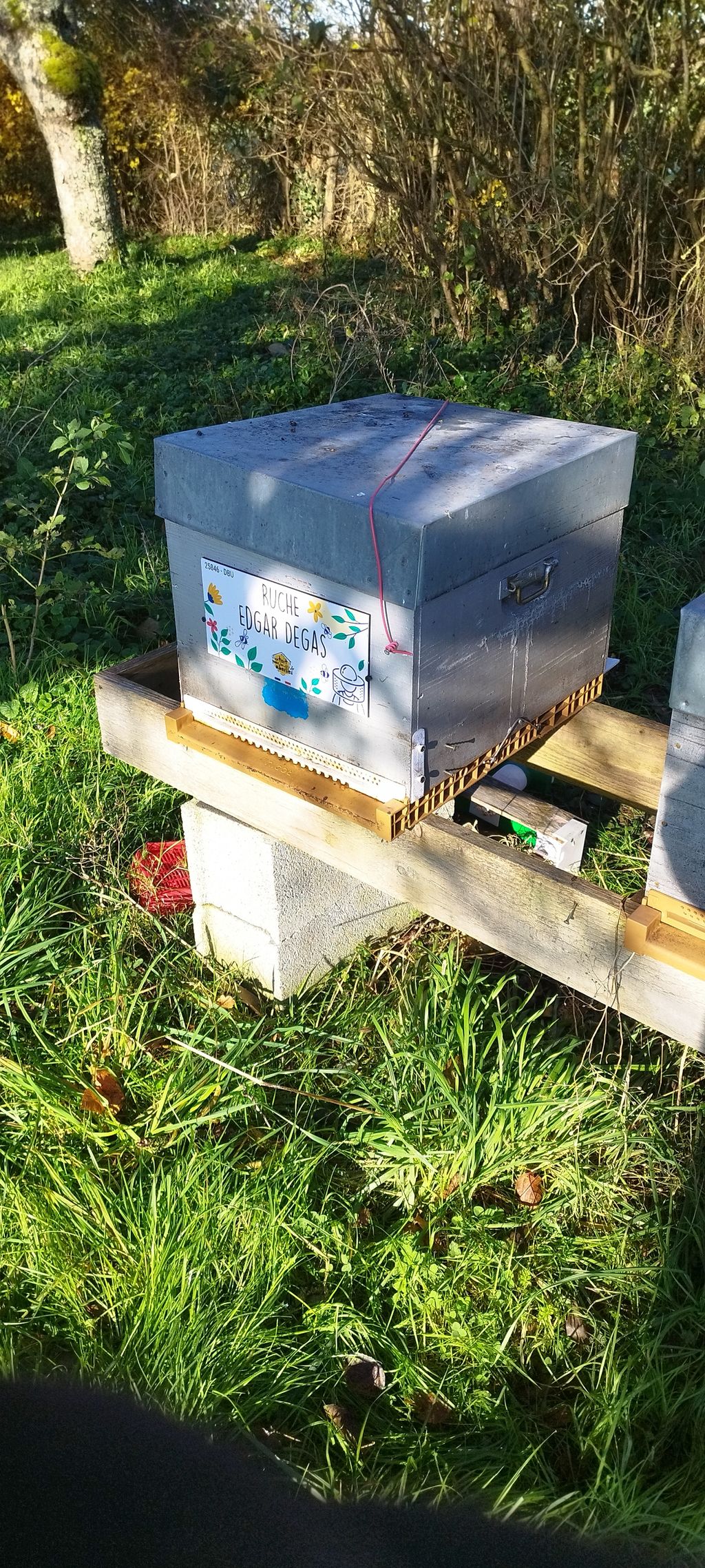 La ruche Edgar Degas