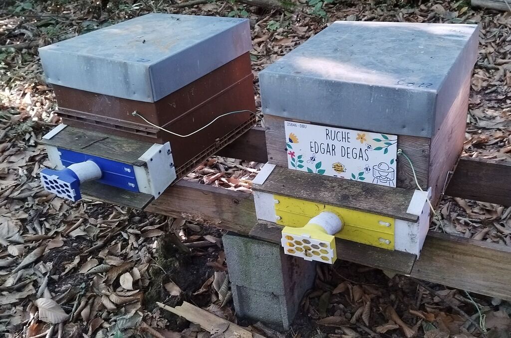 La ruche Edgar Degas