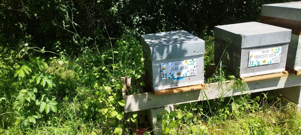 La ruche Edgar Degas