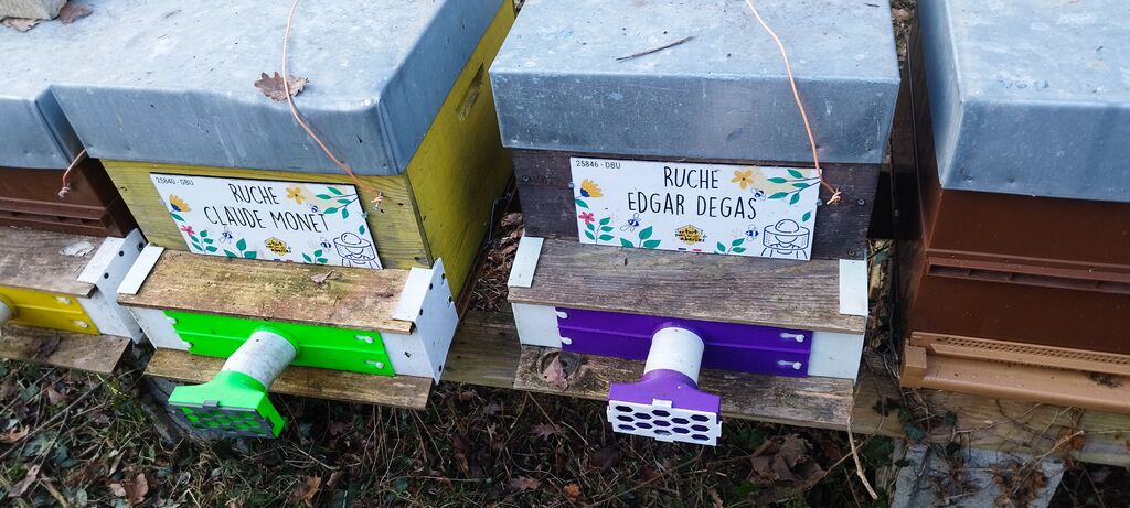 La ruche Edgar Degas