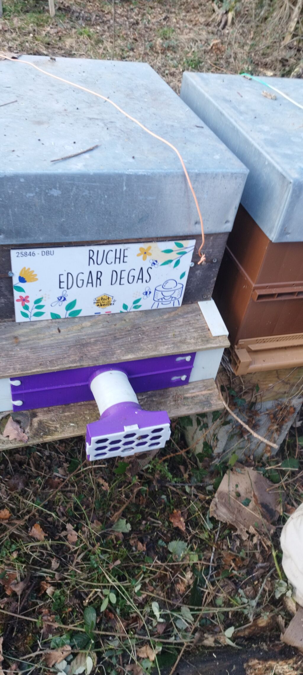 La ruche Edgar Degas