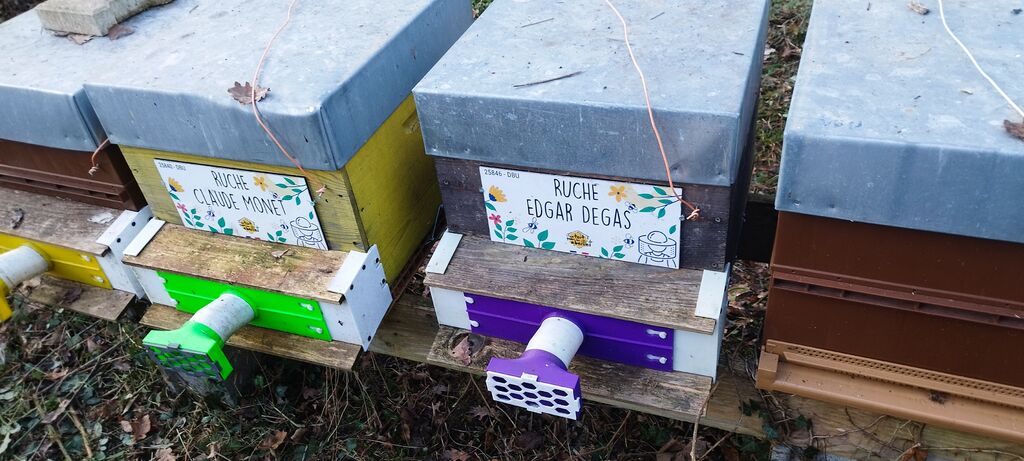 La ruche Edgar Degas