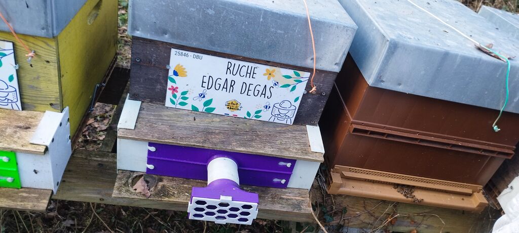 La ruche Edgar Degas