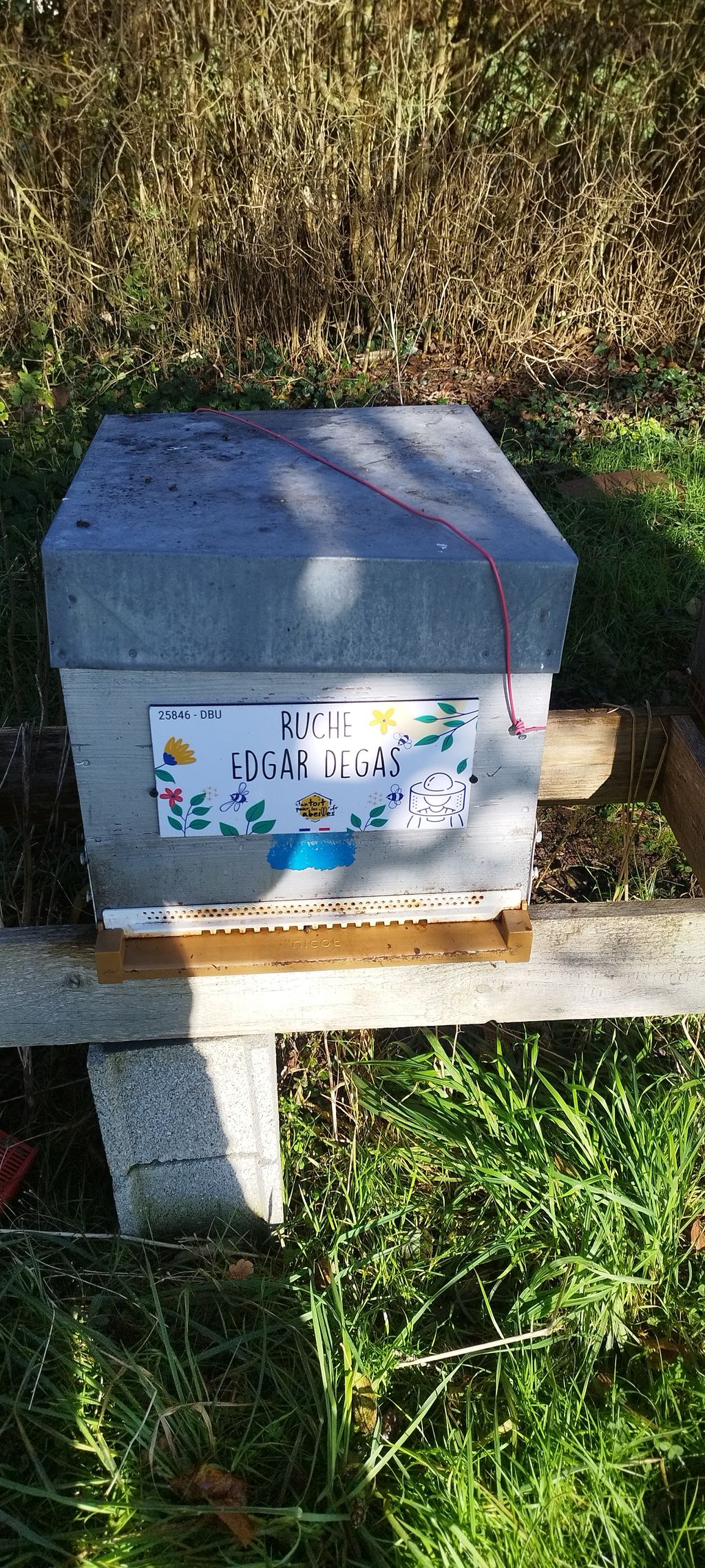 La ruche Edgar Degas