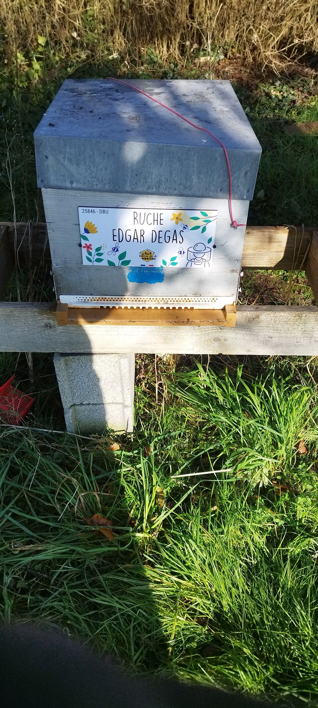 La ruche Edgar Degas