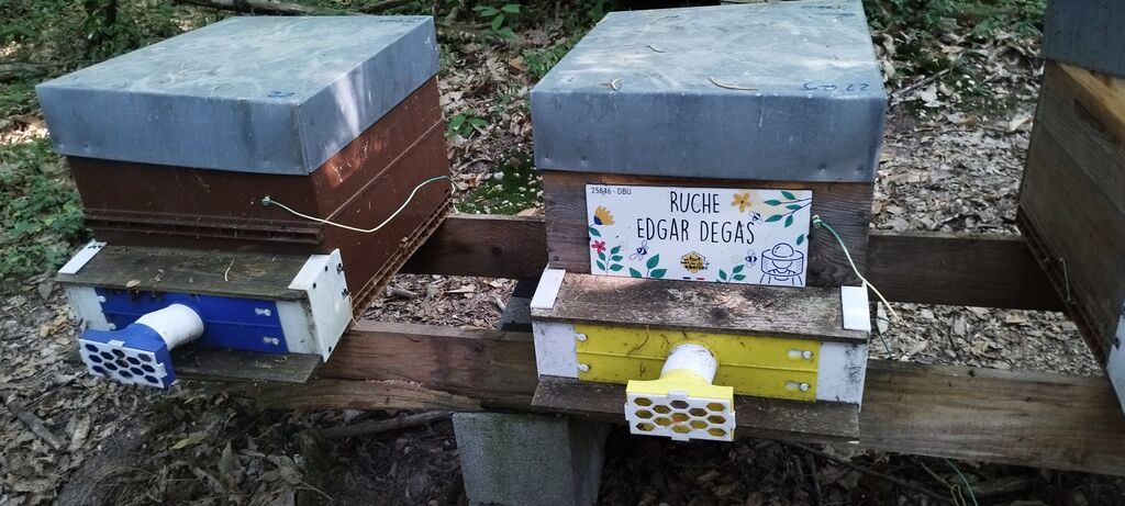 La ruche Edgar Degas