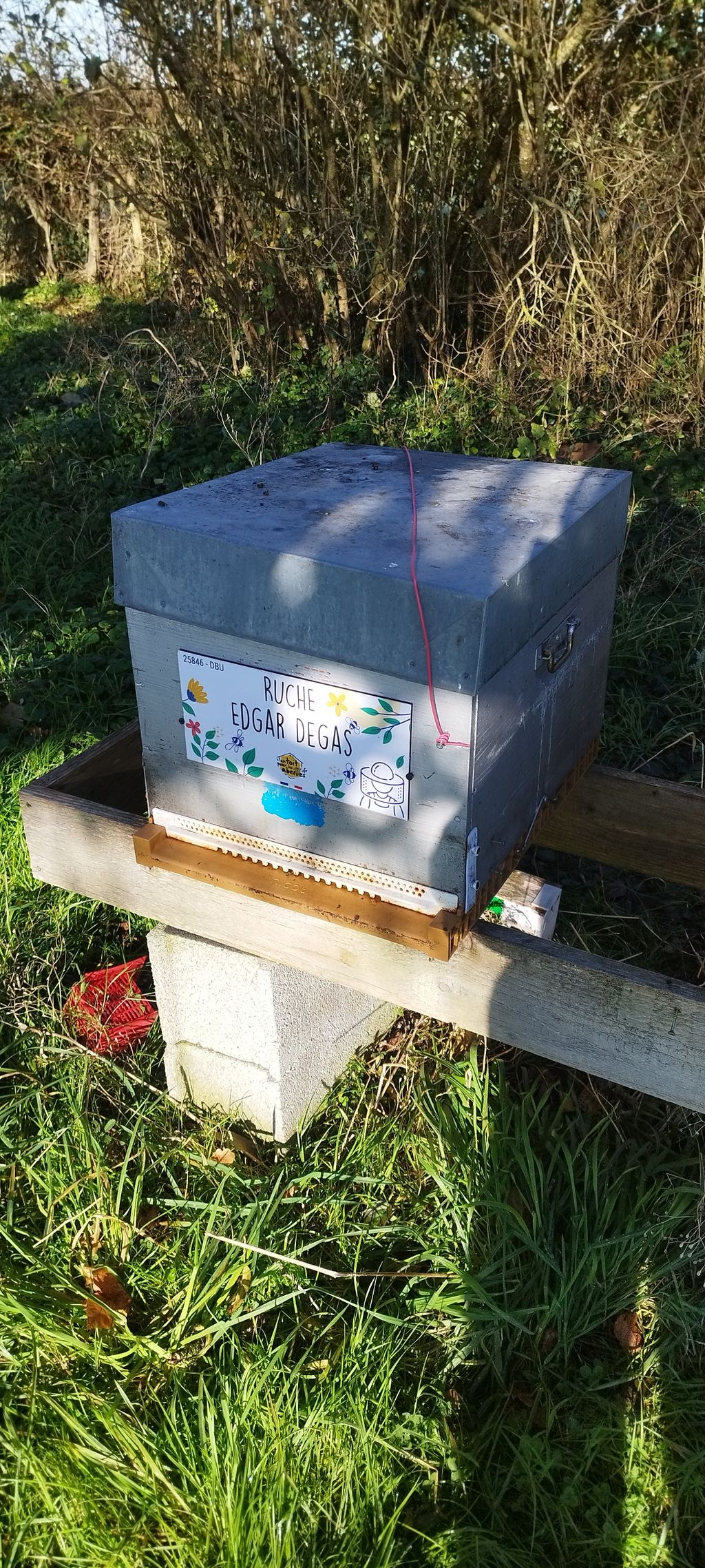 La ruche Edgar Degas