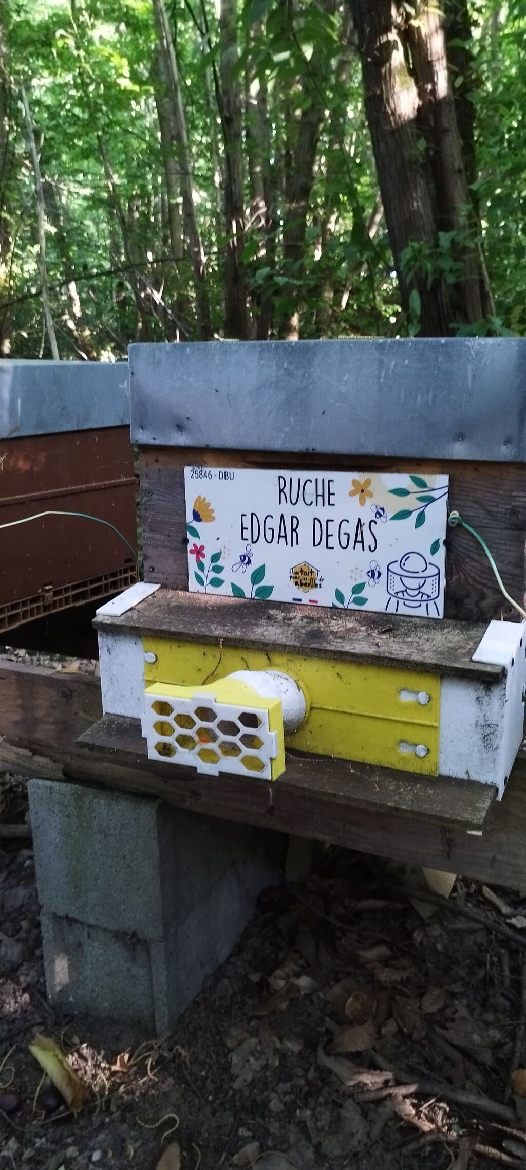 La ruche Edgar Degas