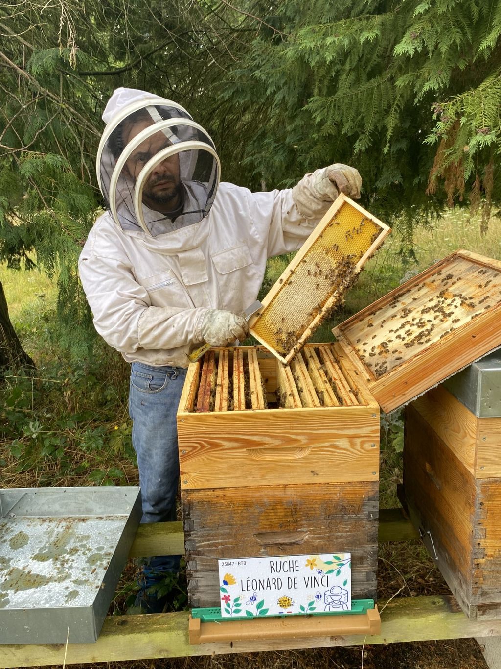 La ruche Léonard de Vinci