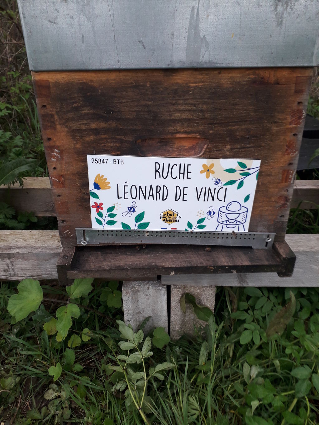 La ruche Léonard de Vinci