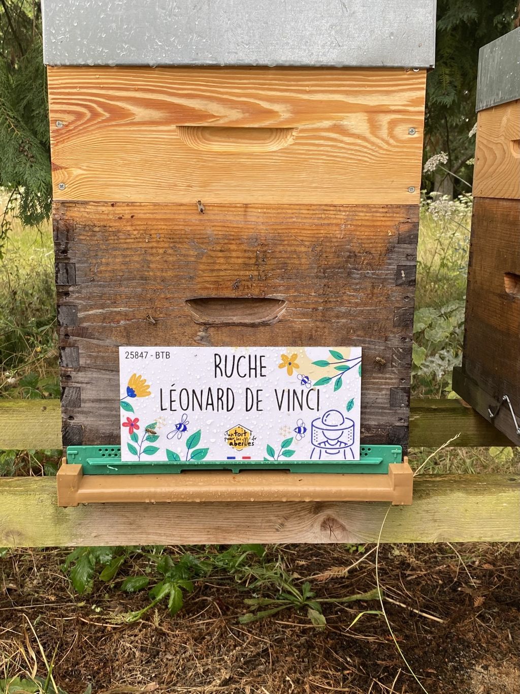 La ruche Léonard de Vinci