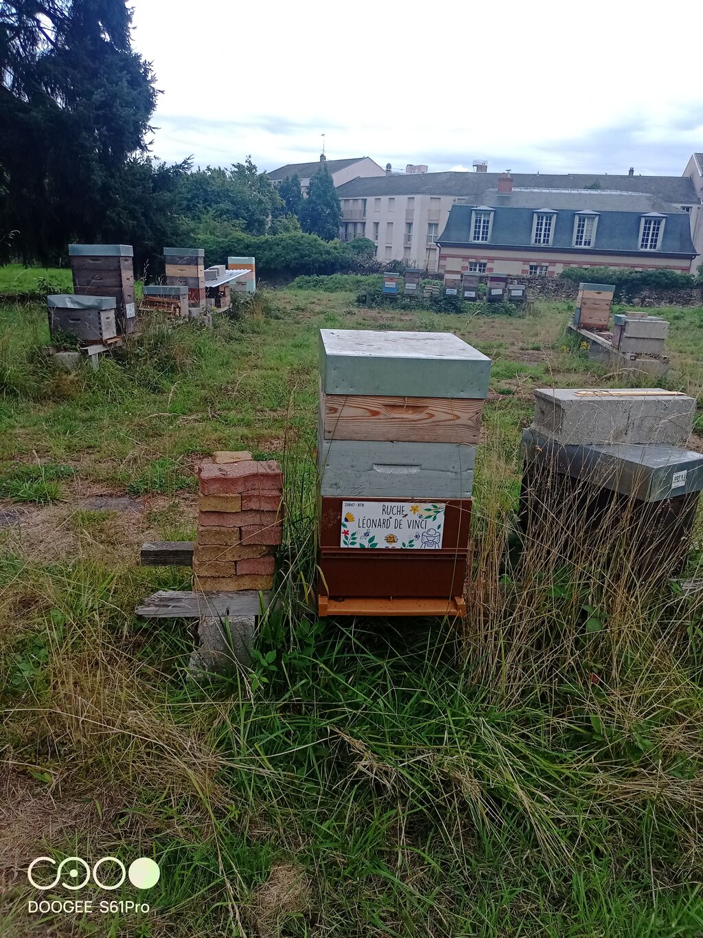 La ruche Léonard de Vinci