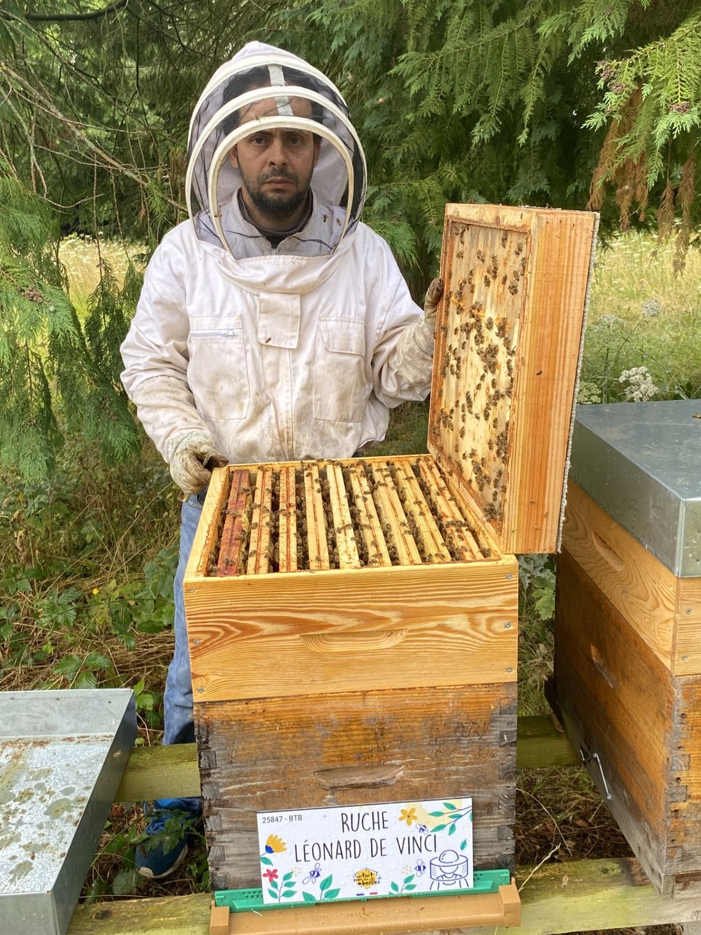 La ruche Léonard de Vinci