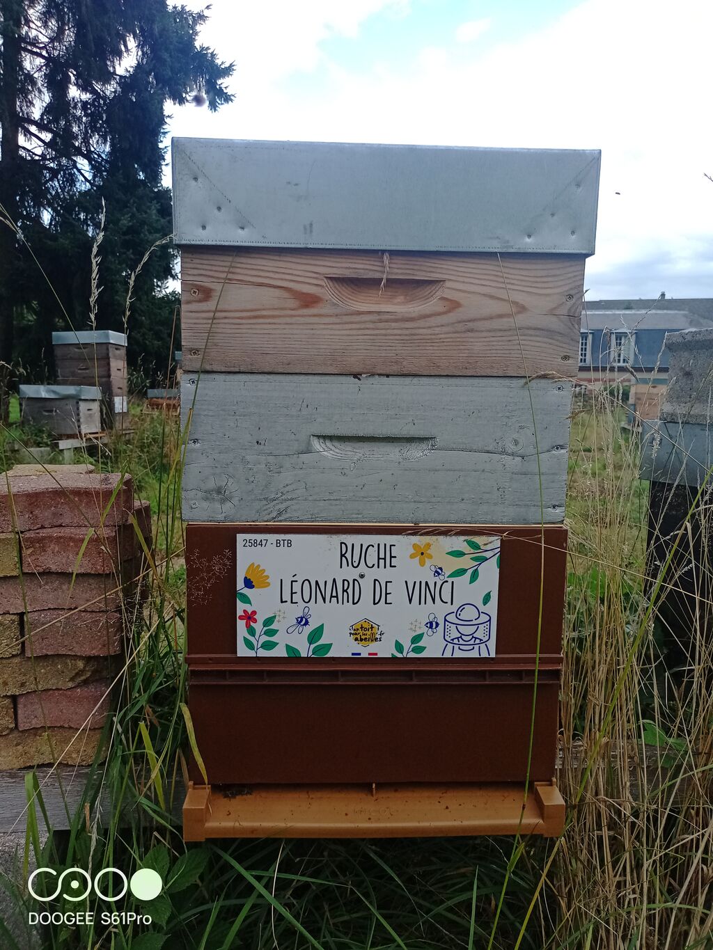 La ruche Léonard de Vinci