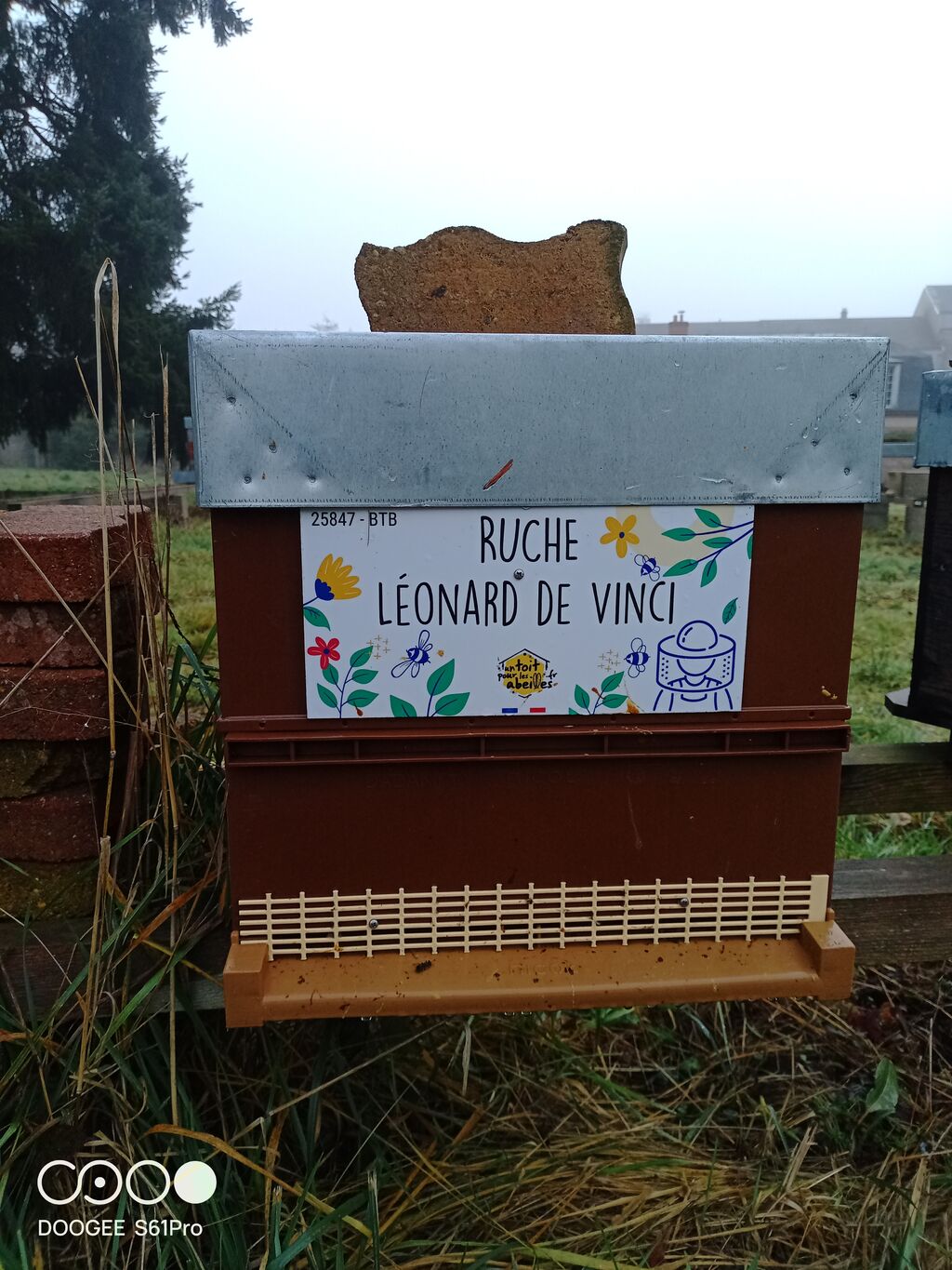 La ruche Léonard de Vinci