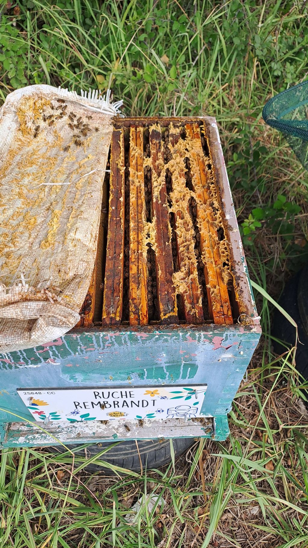 La ruche Rembrandt