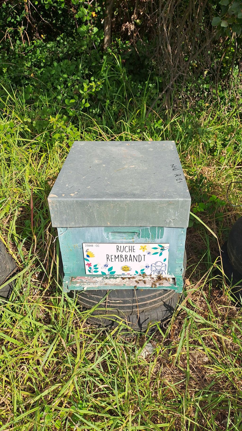 La ruche Rembrandt