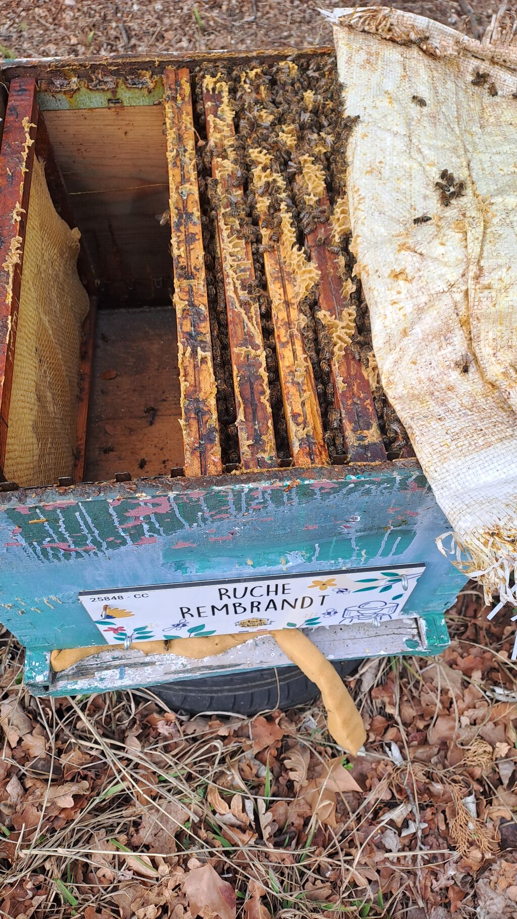 La ruche Rembrandt