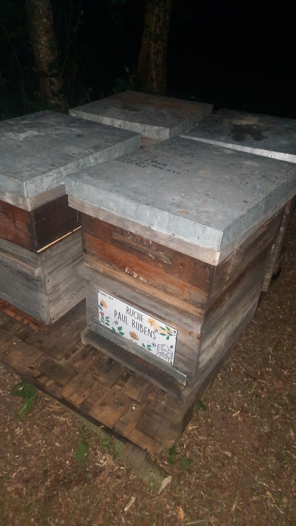 La ruche Paul Rubens