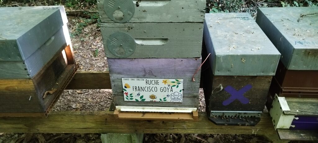 La ruche Francisco Goya