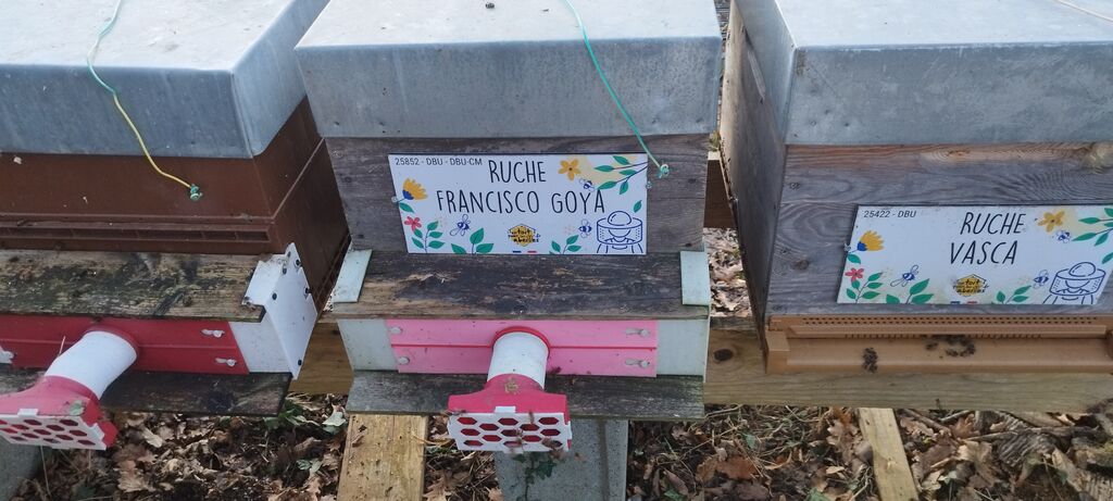 La ruche Francisco Goya