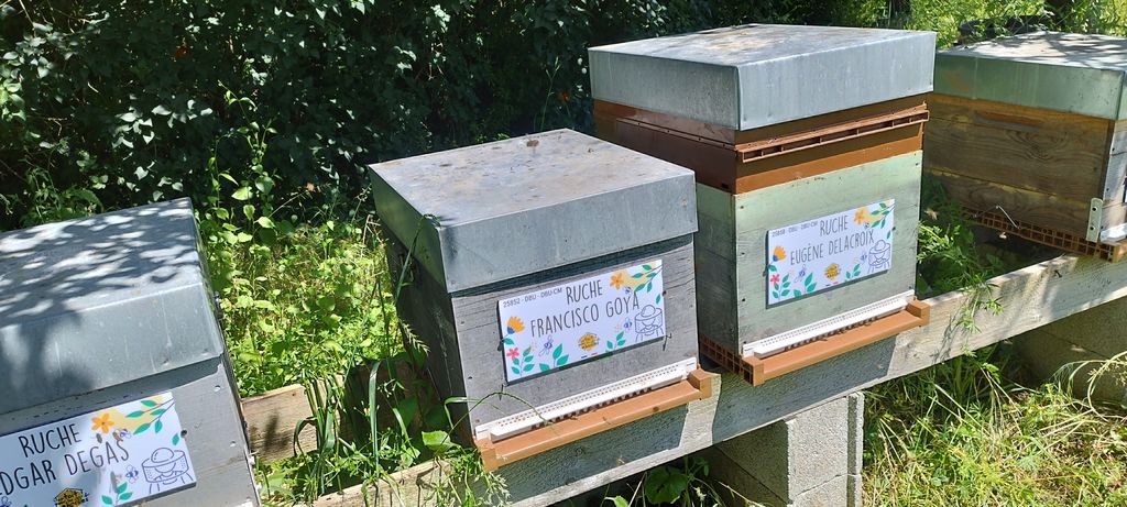 La ruche Francisco Goya