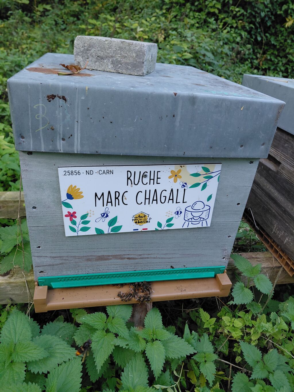 La ruche Marc Chagall