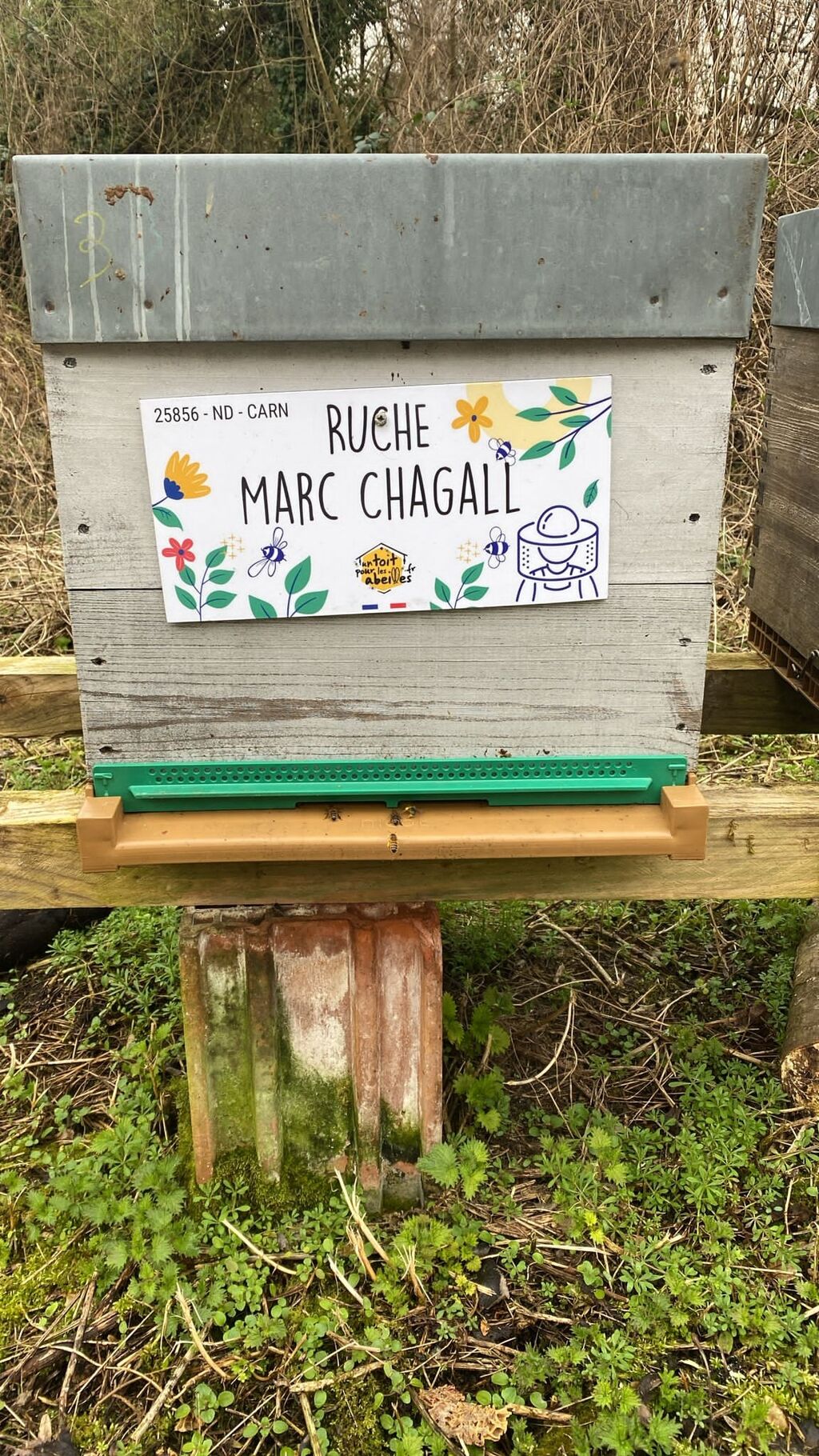 La ruche Marc Chagall