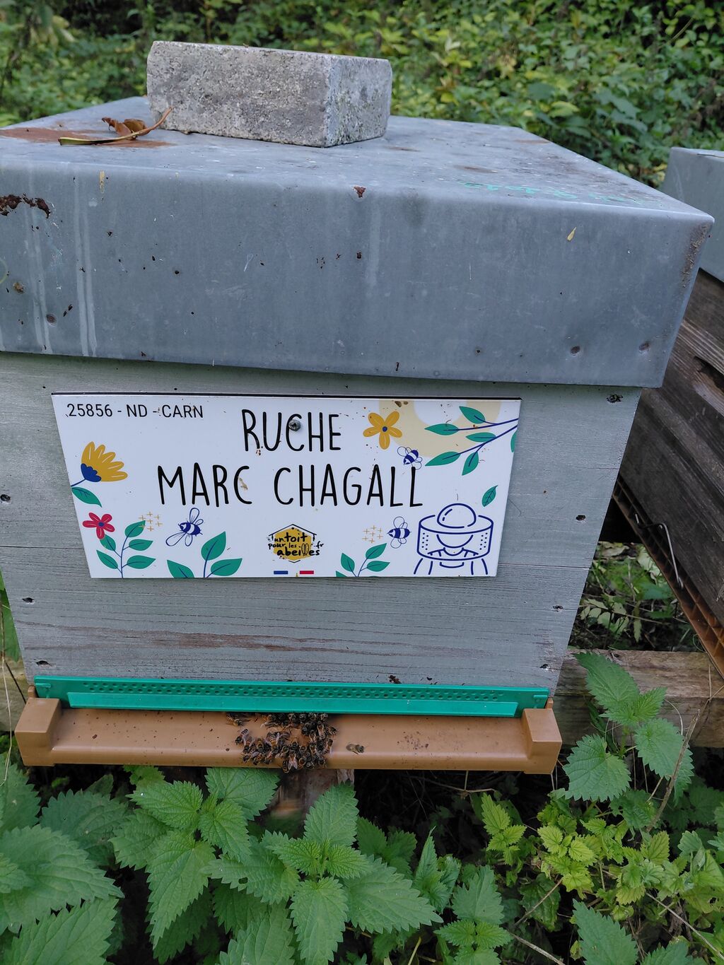 La ruche Marc Chagall