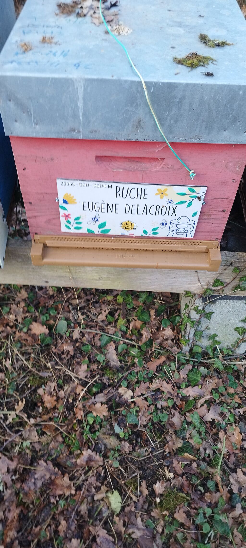 La ruche Eugène Delacroix