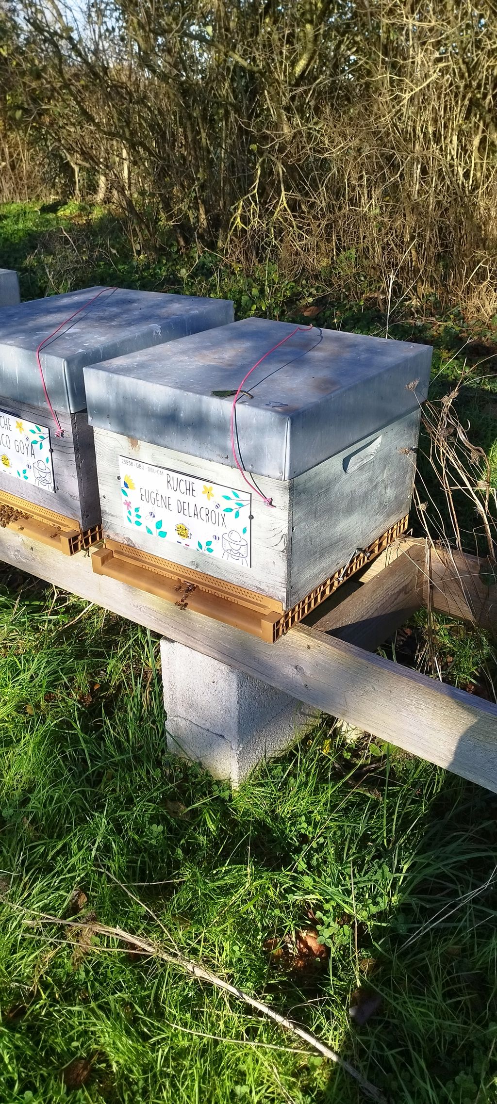 La ruche Eugène Delacroix