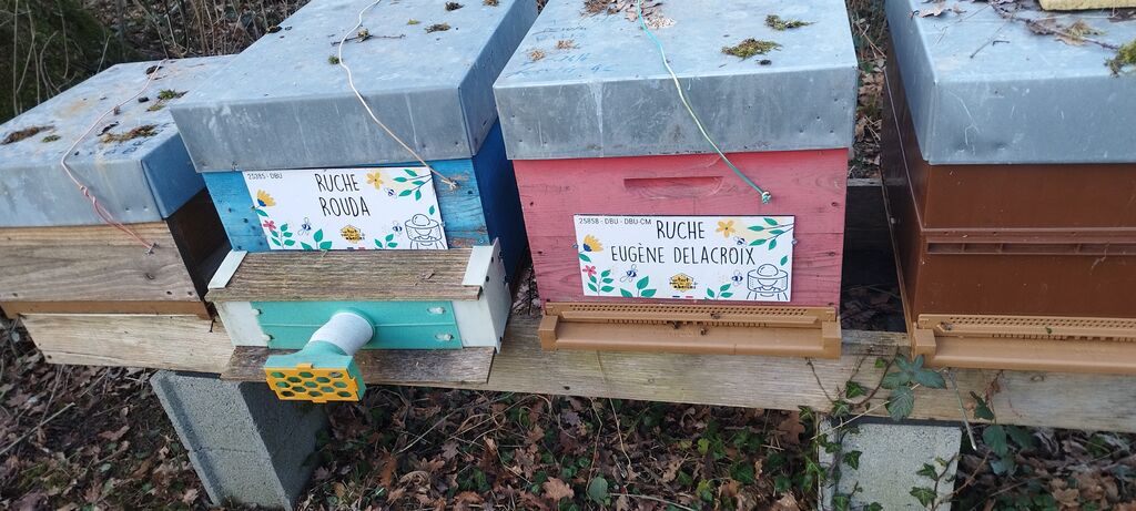 La ruche Eugène Delacroix