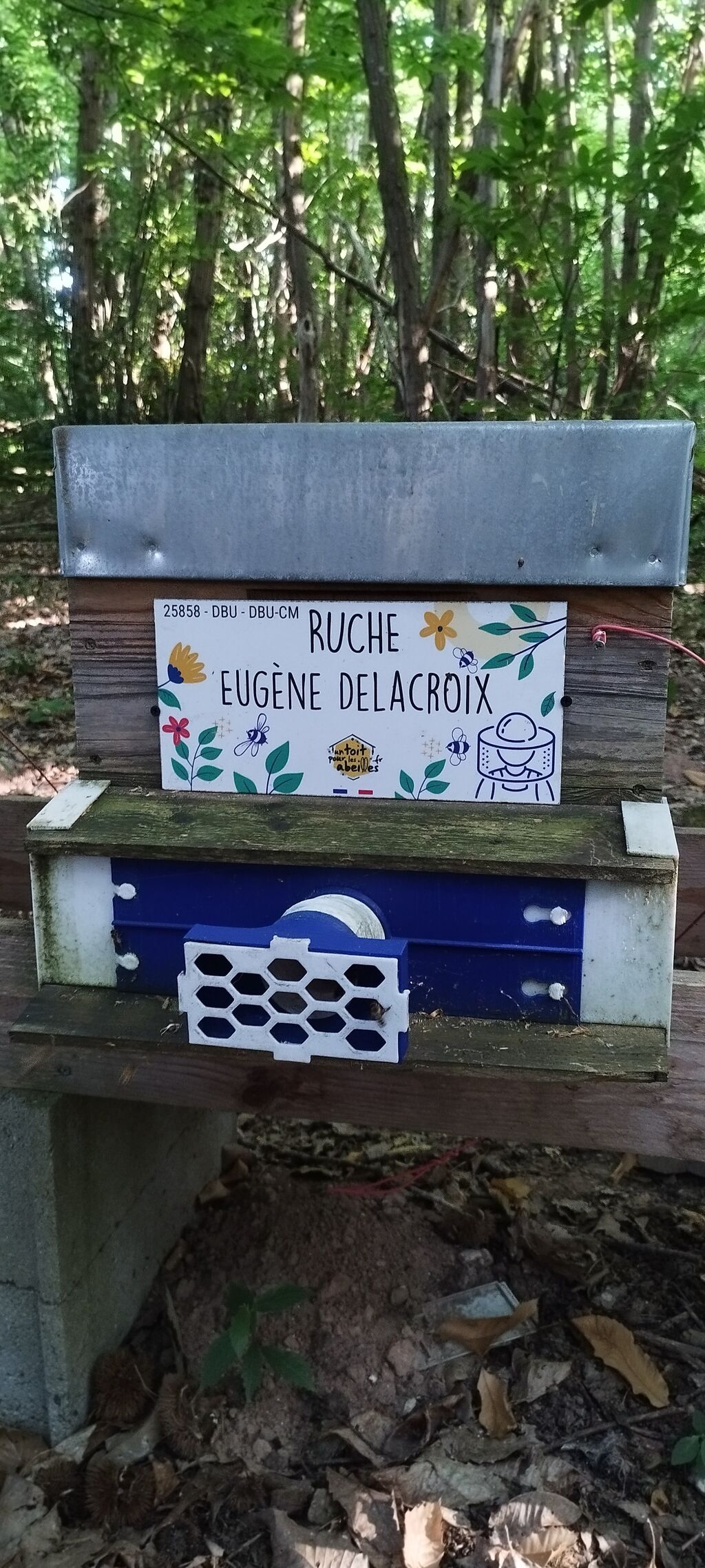 La ruche Eugène Delacroix