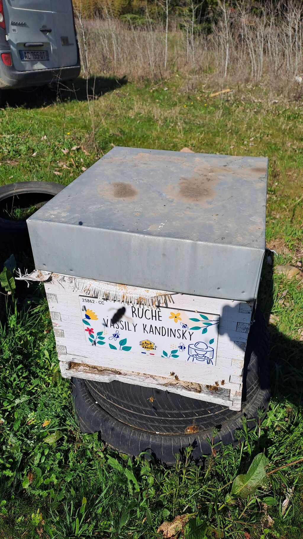 La ruche Vassily Kandinsky