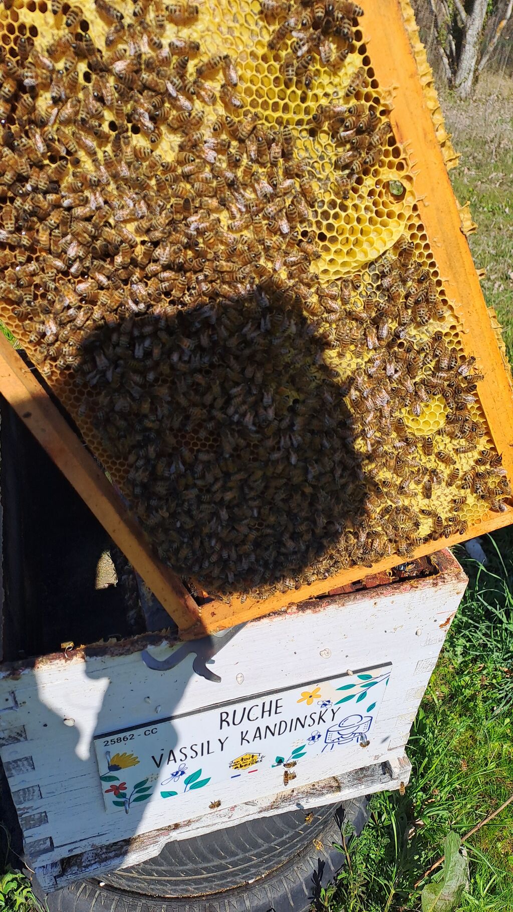 La ruche Vassily Kandinsky