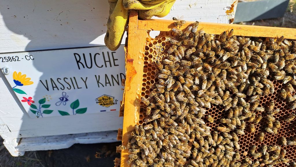 La ruche Vassily Kandinsky