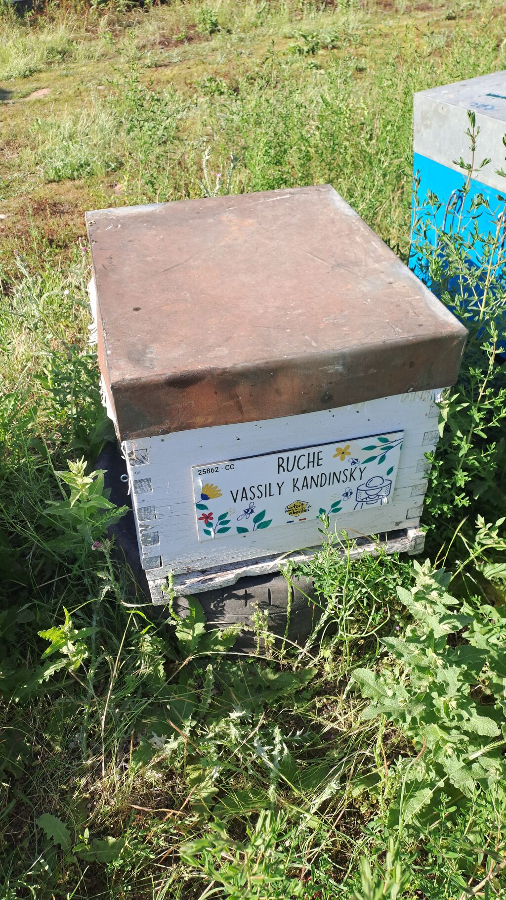 La ruche Vassily Kandinsky