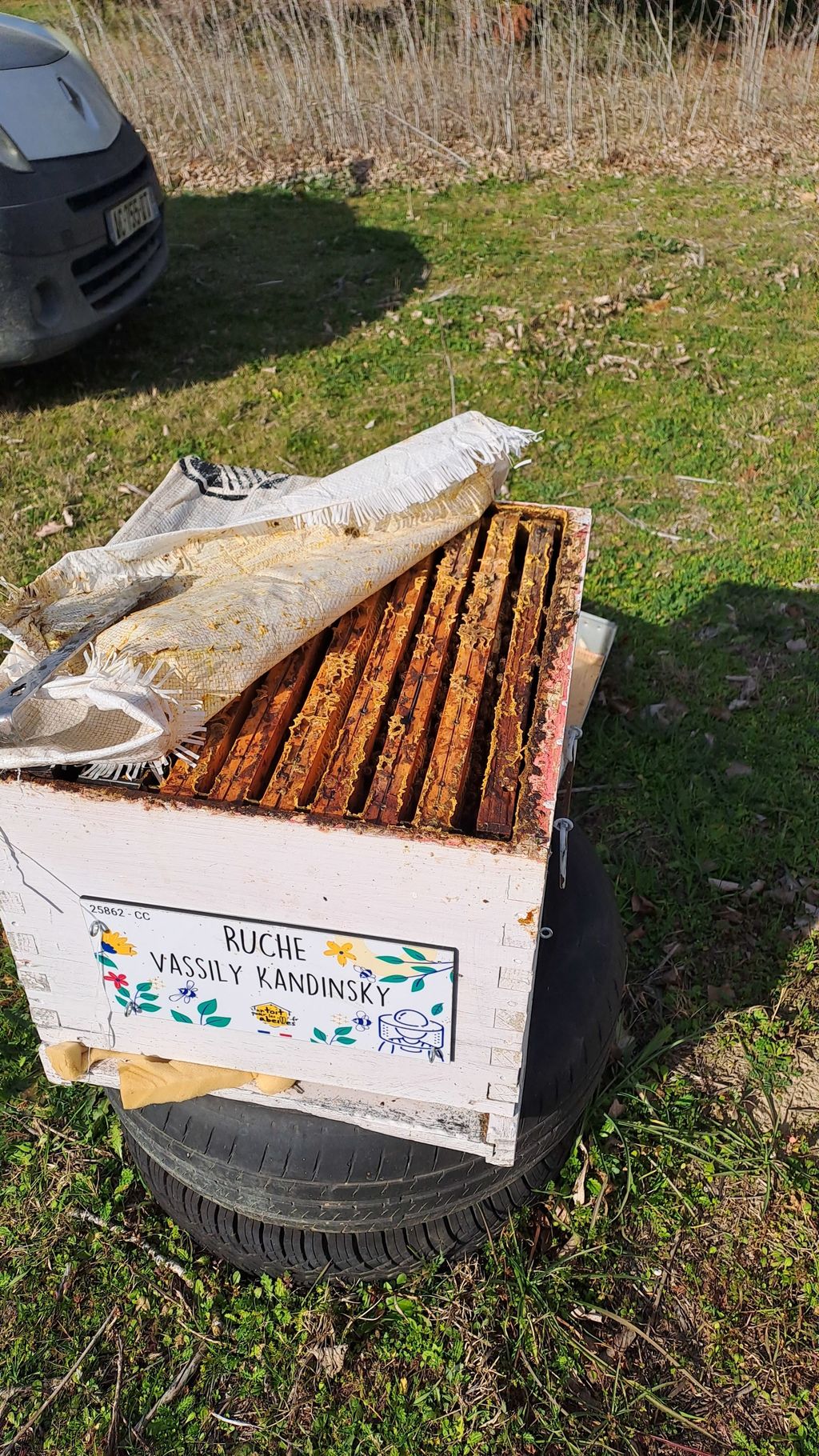 La ruche Vassily Kandinsky