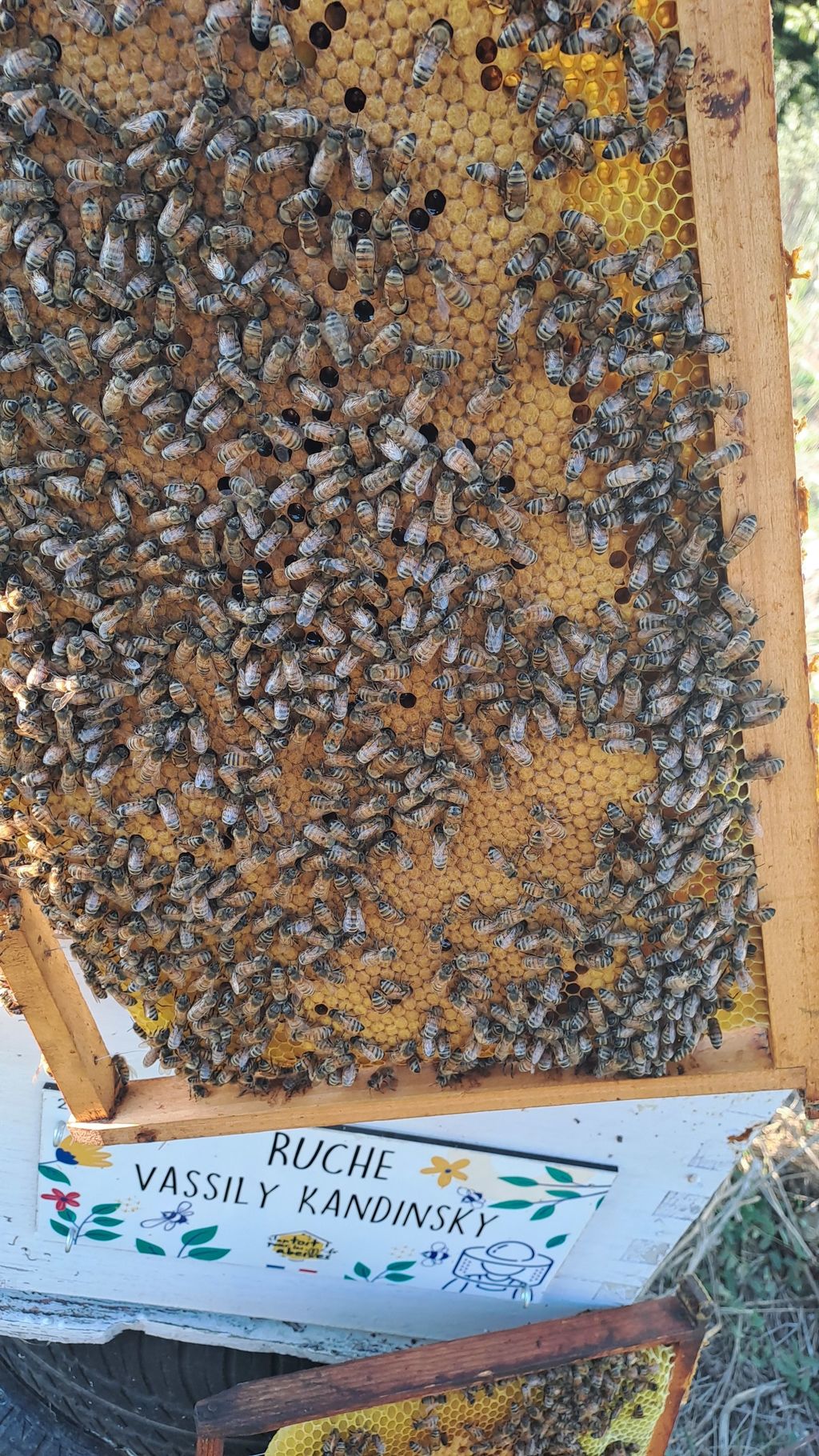 La ruche Vassily Kandinsky