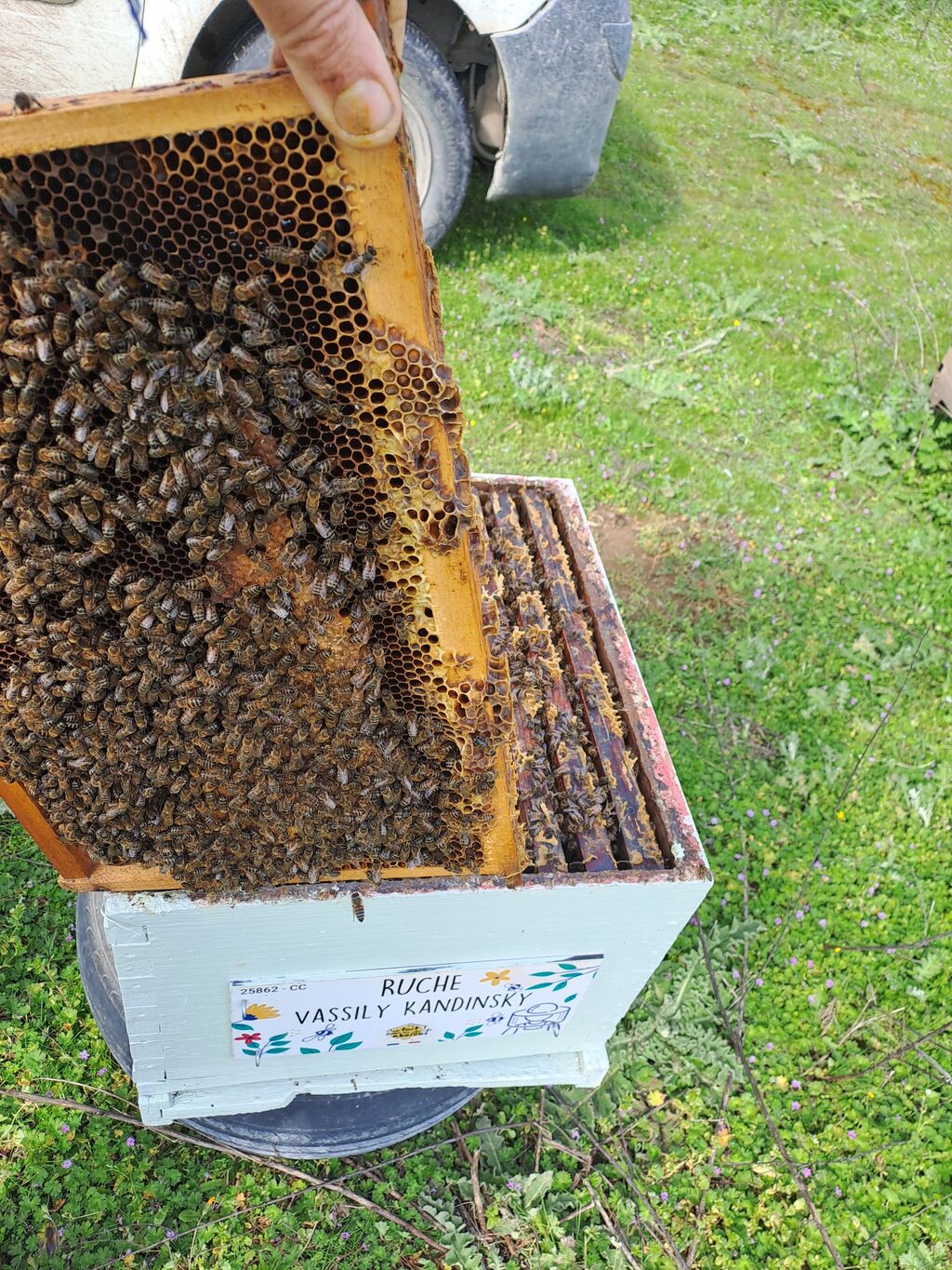 La ruche Vassily Kandinsky