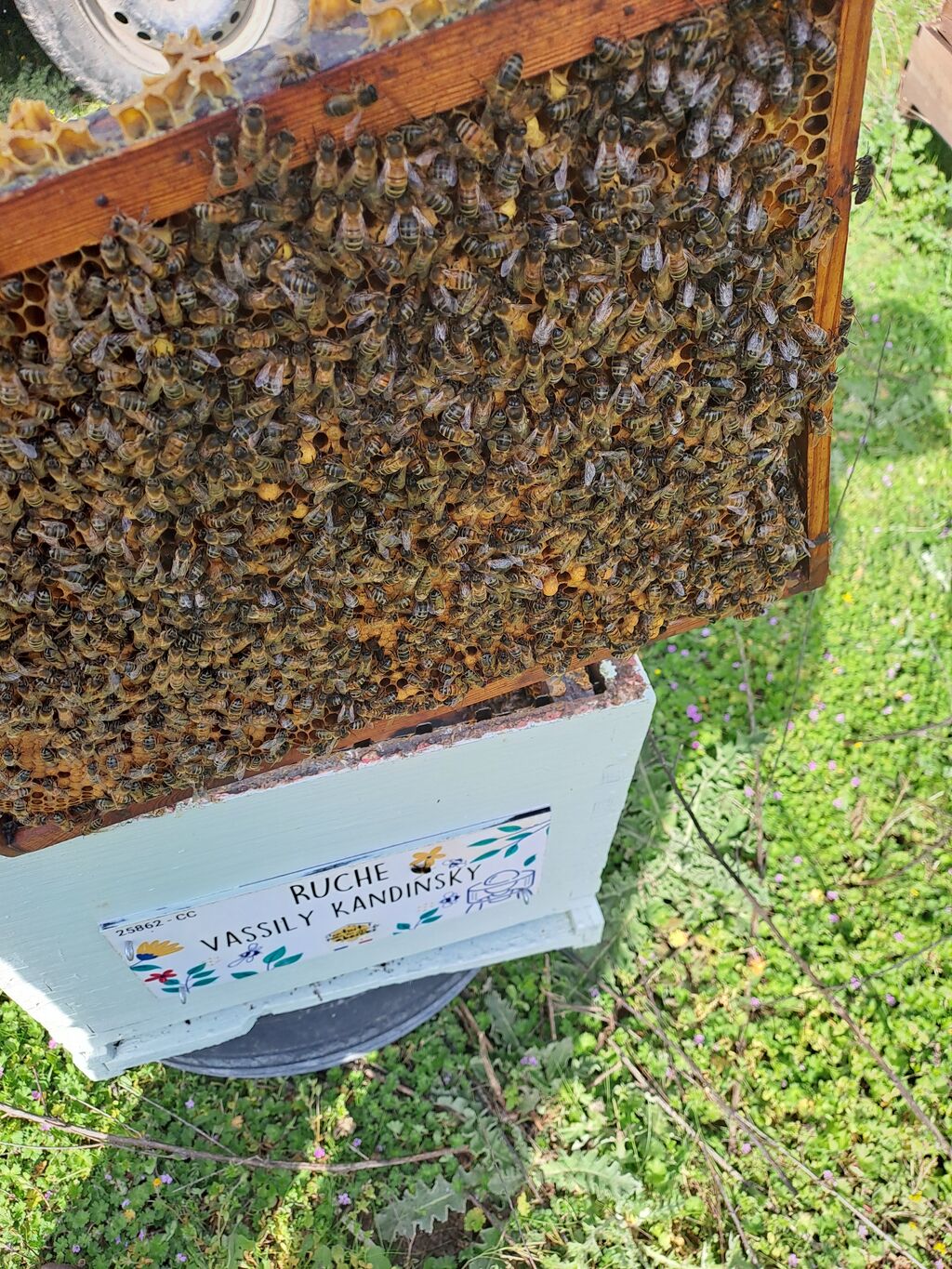 La ruche Vassily Kandinsky