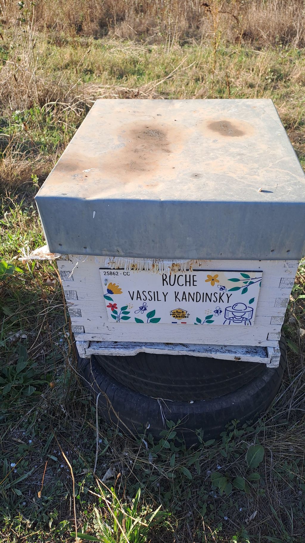 La ruche Vassily Kandinsky